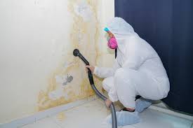 Mold Remediation for Vacation Homes in Central Gardens, TX